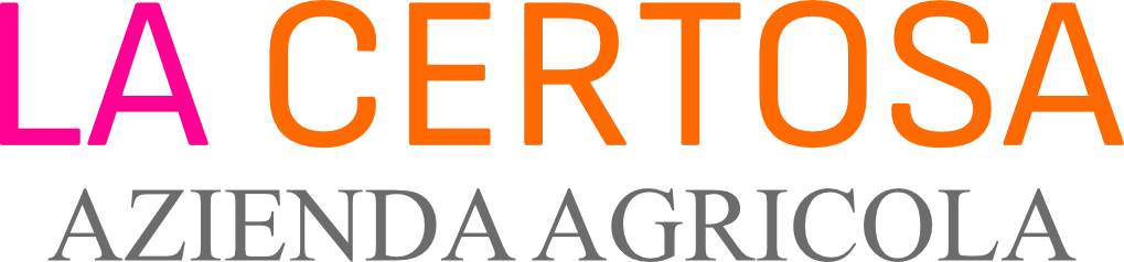 Esempio logo scheda prodotto